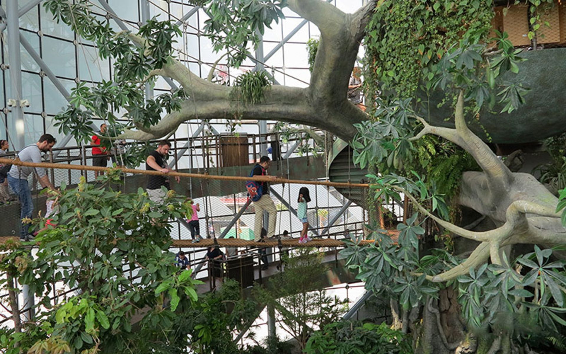 طبیعت سیاره سبز دبی