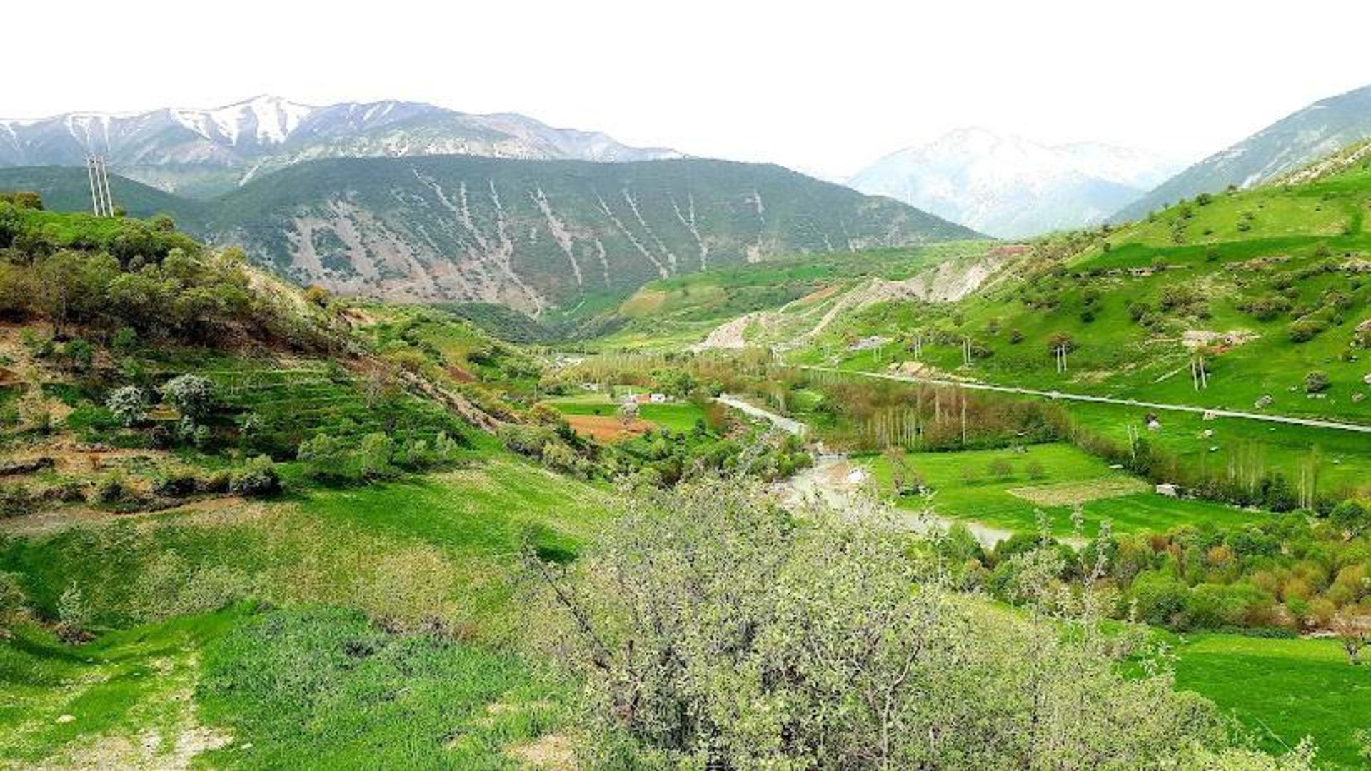 طبیعت روستای سفید برگ کرمانشاه در تابستان