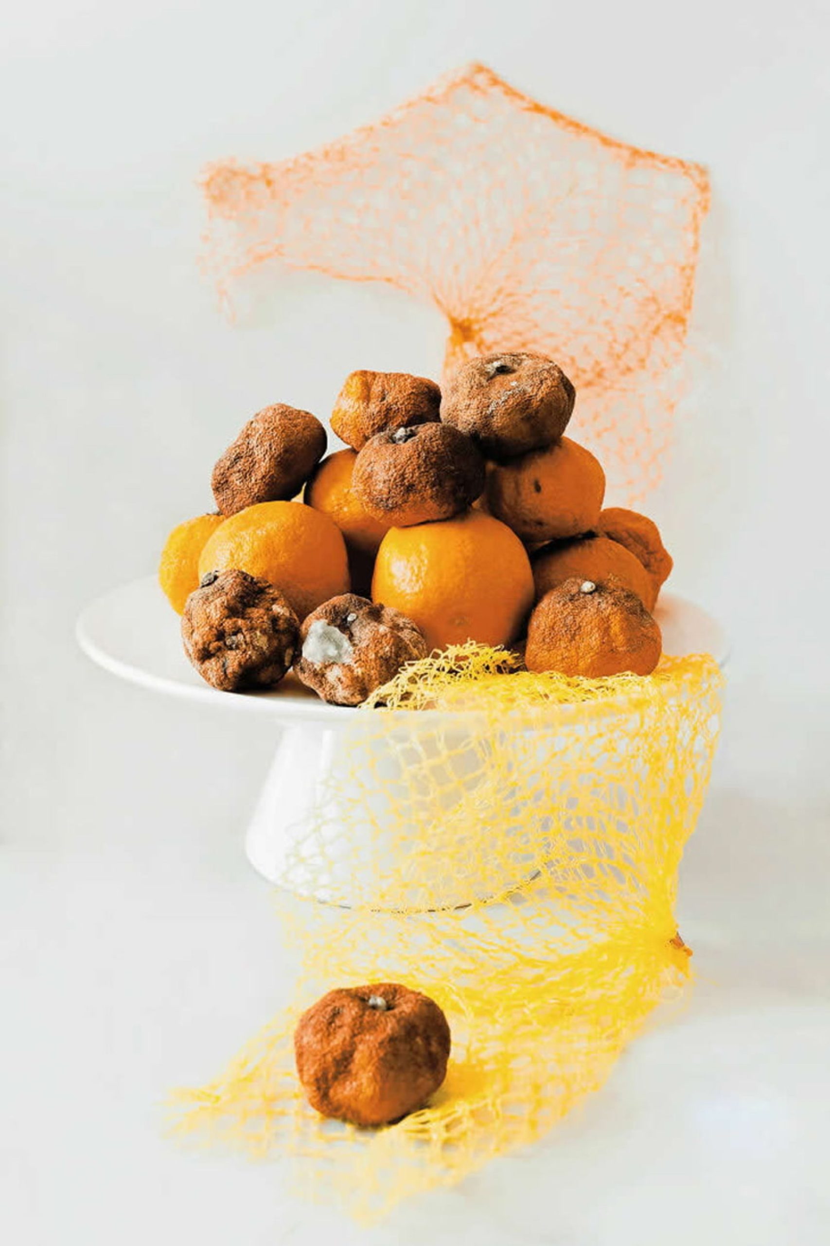 عکس هنری از مرکبات پلاسیده