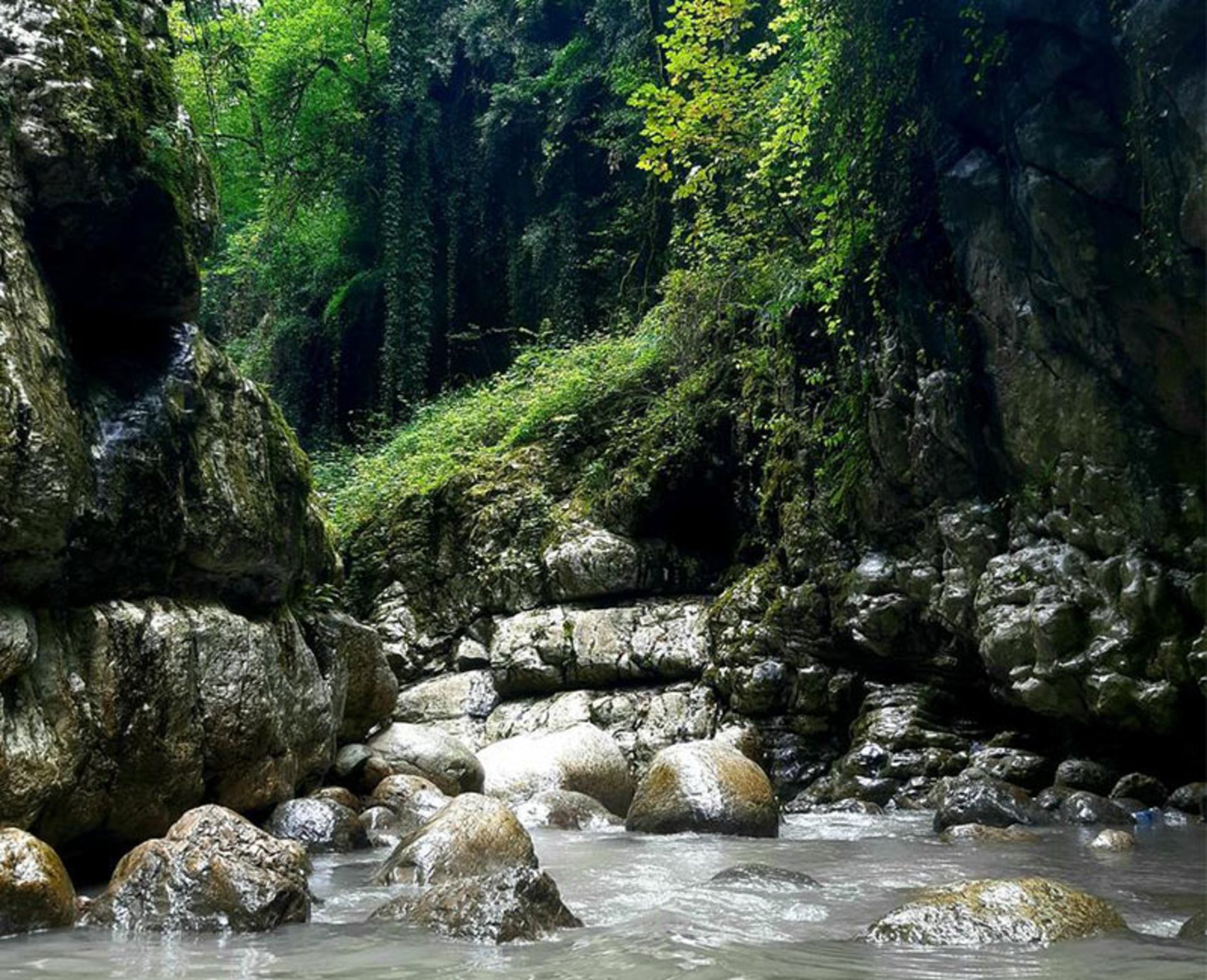 رودخانه و طبیعت جنگلی تنگه دار نوشهر