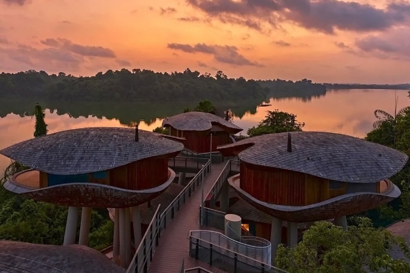 نخستین هتل احیاگر سنگاپور؛ تجملی سبز در دل بارانهای استوایی نخستین هتل احیاگر سنگاپور؛ تجملی سبز در دل بارانهای استوایی