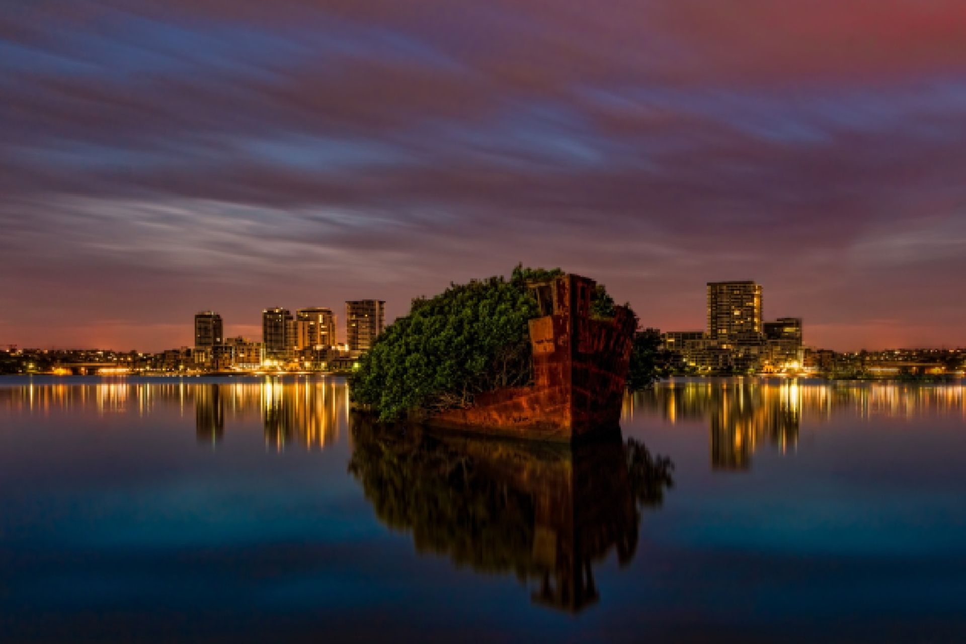 کشتی SS Ayrfield و درختان روی آن