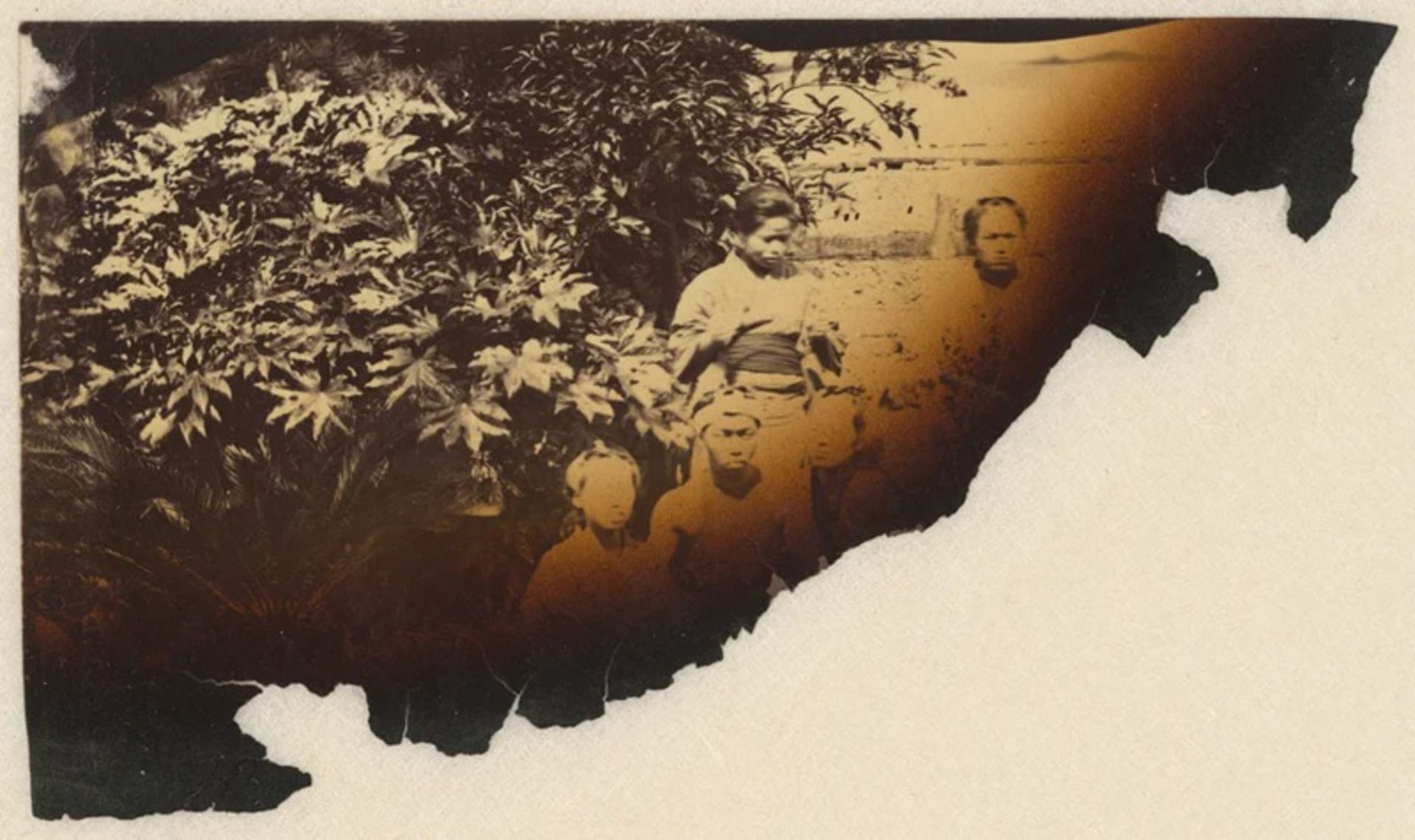 باقیمانده عکس سوخته خانواده ژاپنی در قرن ۱۹ 