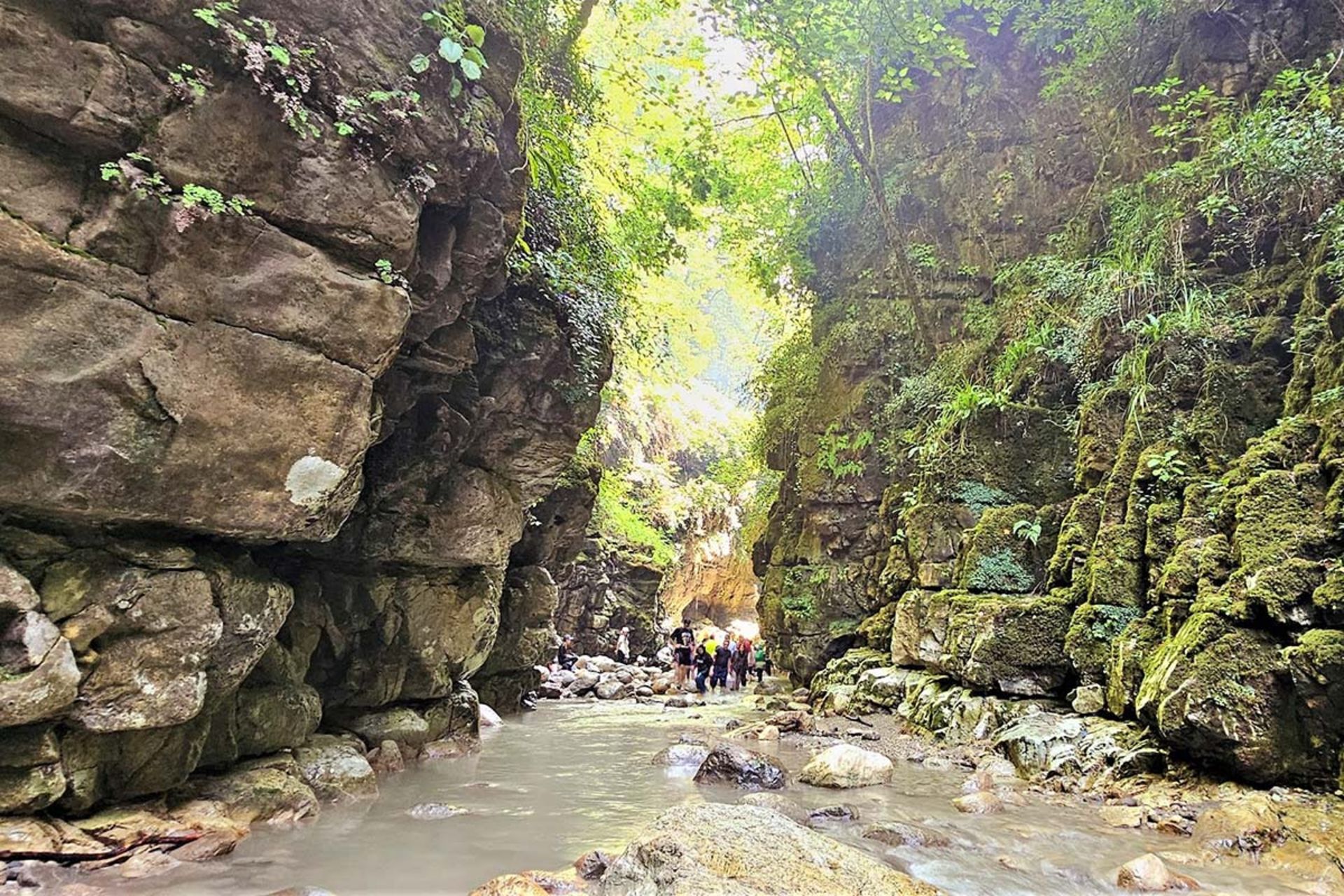 گردشگران در رودخانه تنگه دار نوشهر