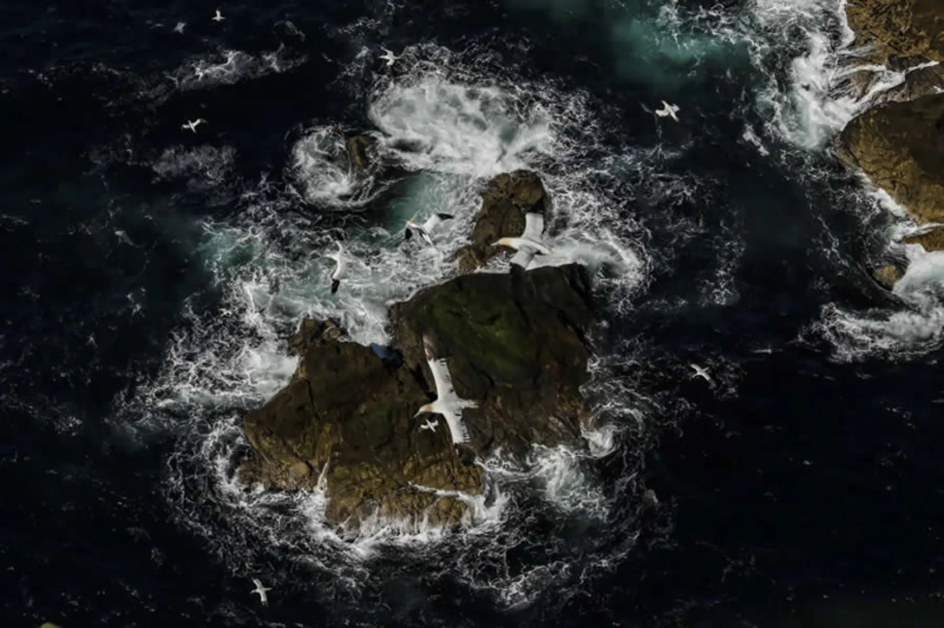 صخره‌ای در میان امواج خروشان