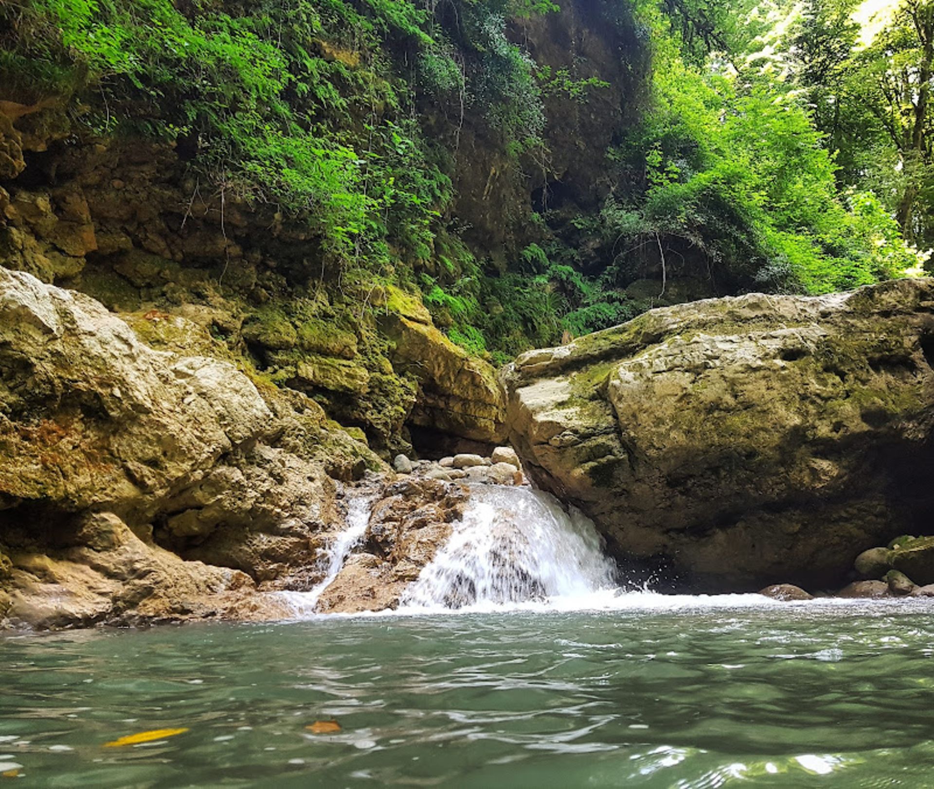 مسیر تنگ دار در میان جنگل