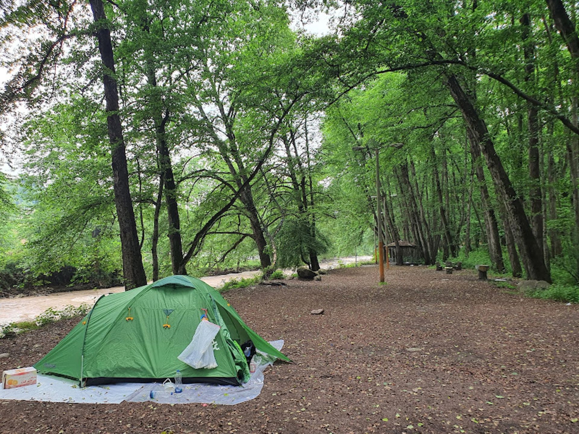برپایی چادر در پارک جنگلی فین چالوس