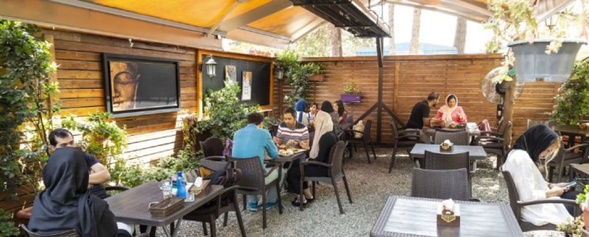 فضای باز کافه رستوران گیاهی زمین