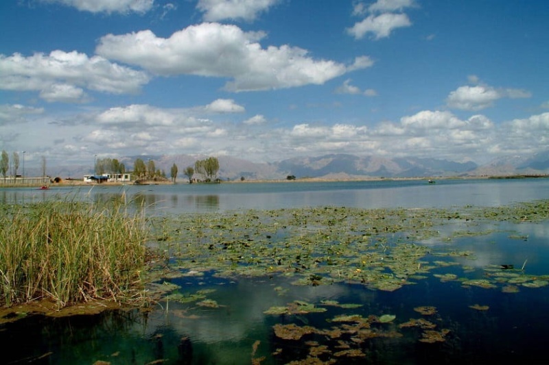 آژیر قرمز در کرمانشاه؛ تالاب هشیلان و سراب نیلوفر بهزودی خشک میشوند آژیر قرمز در کرمانشاه؛ تالاب هشیلان و سراب نیلوفر بهزودی خشک میشوند