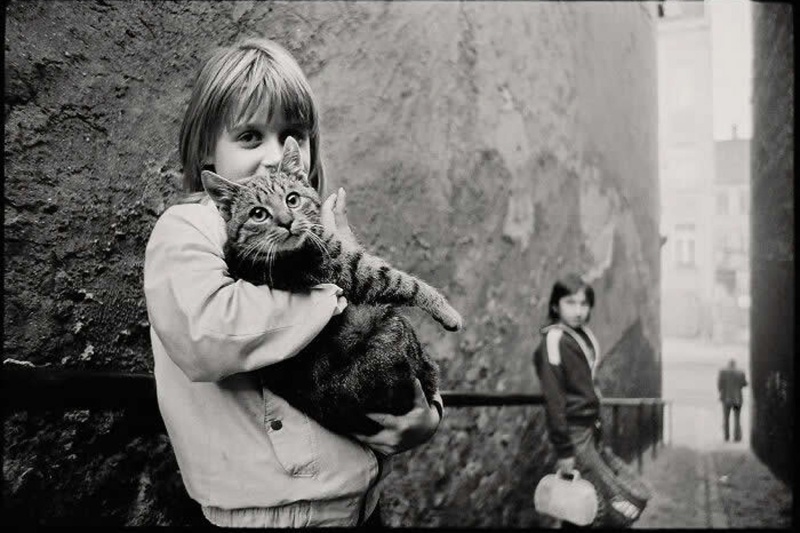 زندگی در سایه دیوار؛ نگاهی مستند به روزمرگی‌های آلمان شرقی