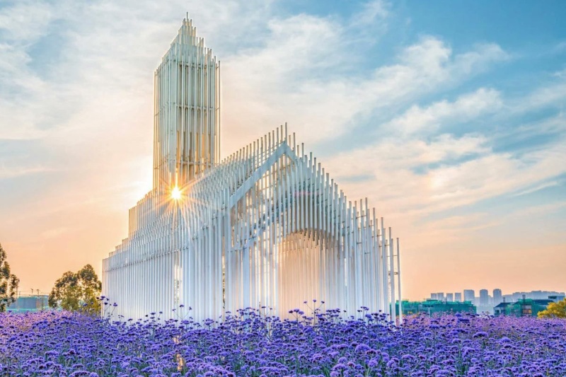 کلیسای بدون سایه چین؛ شاهکار مدرن در میان مزارع اسطوخودوس کلیسای بدون سایه چین؛ شاهکار مدرن در میان مزارع اسطوخودوس