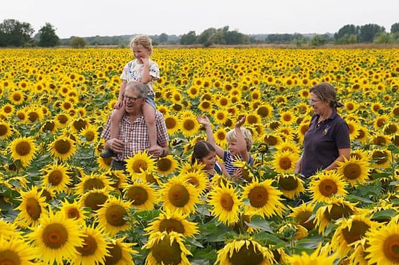 جهان در یک نگاه؛ تصاویر برگزیده هفته، از جشن‌ها تا چالش‌ها