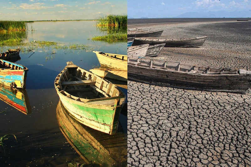 زمین در حال سوختن است؛ تصاویر تکان‌دهنده از تغییرات اقلیمی