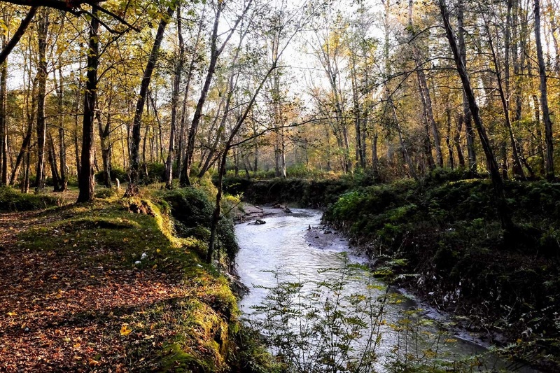 مسافران مازندران مراقب سیلاب باشند