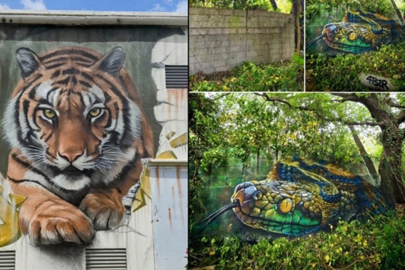دیوارهای وحشی؛ وقتی هنر شهری دروازهای به طبیعت میسازد دیوارهای وحشی؛ وقتی هنر شهری دروازهای به طبیعت میسازد
