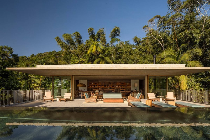 زندگی میان درختان؛ خانهای که جنگل را به اتاق نشیمن آورد زندگی میان درختان؛ خانهای که جنگل را به اتاق نشیمن آورد