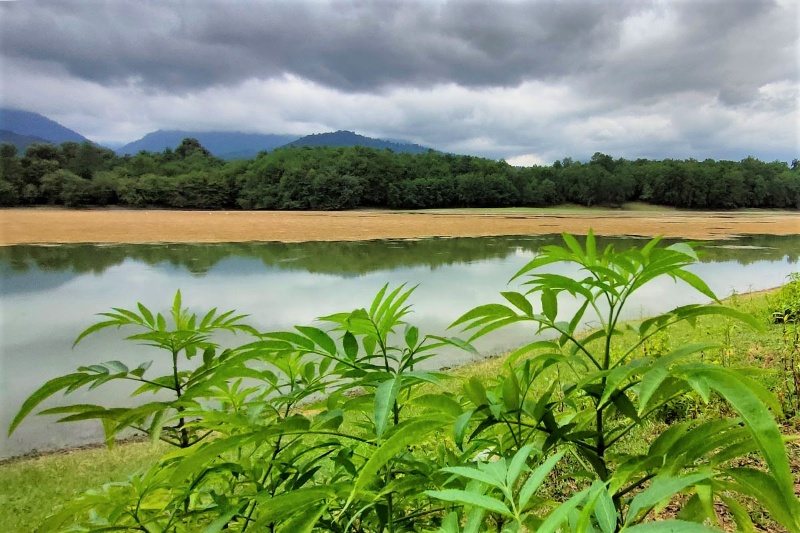 دریاچه جوربند؛ بهشتی پنهان در دل جنگلهای مازندران دریاچه جوربند؛ بهشتی پنهان در دل جنگلهای مازندران