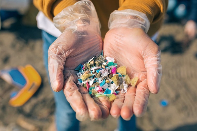 باران پلاستیکی بر سر جنگل‌ها؛ آلودگی در طبیعت بیشتر از شهر!