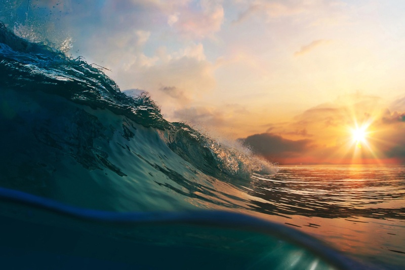 وقتی دریا نفس کم میآورد: گرمایش بیسابقه و تضعیف اسفنج کربنی سیاره ما وقتی دریا نفس کم میآورد: گرمایش بیسابقه و تضعیف اسفنج کربنی سیاره ما