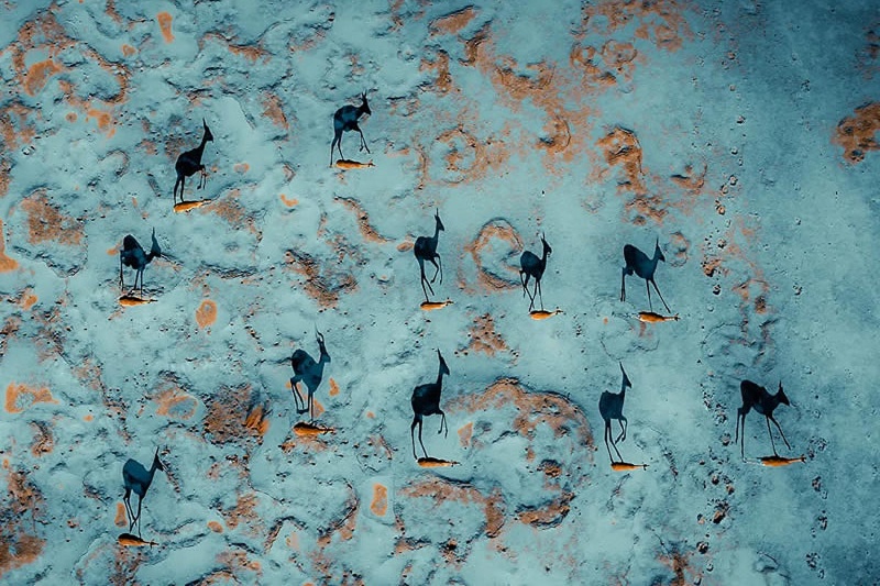 از قله‌های کوه تا جاده‌های بی‌انتها؛ تصاویر پهبادی از ماجراجویی در آسمان