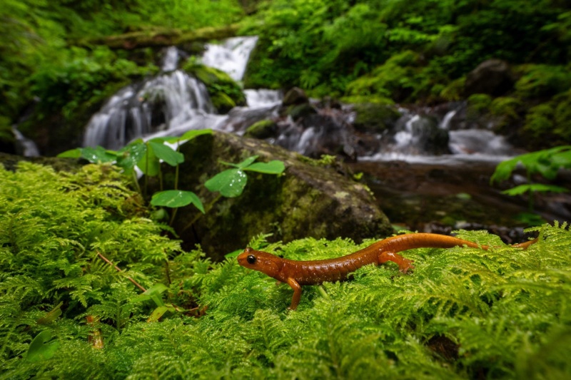 چشم‌اندازهای فریبنده؛ برندگان عکاسی مناظر طبیعی ۲۰۲۵