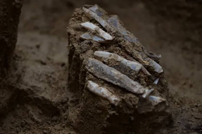 نگاهی به زندگی شخصی یک انسان ماقبل تاریخ؛ رازهای جعبه‌ابزار گمشده