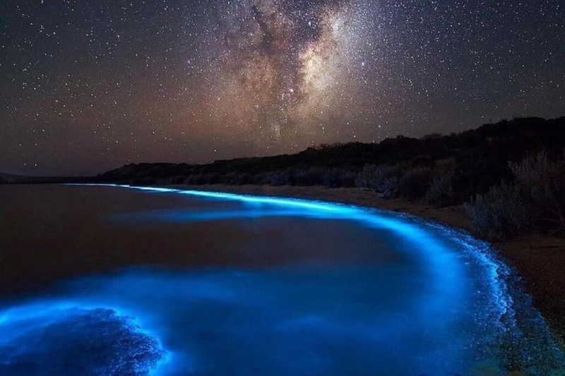 شب‌مانی در خلیج فارس؛ کمپینگ متفاوت در جزایر جنوبی ایران