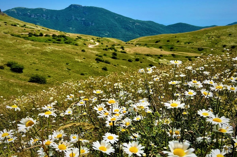 بهترین زمان سفر به فندقلو؛ فصل تماشای جنگل‌های هزاررنگ
