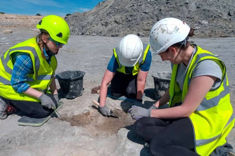 بزرگراه دایناسورها در انگلستان؛ کشف ردپاهای غولهای ژوراسیک در معدن بزرگراه دایناسورها در انگلستان؛ کشف ردپاهای غولهای ژوراسیک در معدن