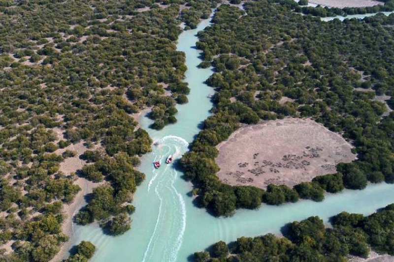 چند ساعت پس از جهانی‌شدن روستای سهیلی؛ فستیوال موسیقی کاوان قشم لغو شد