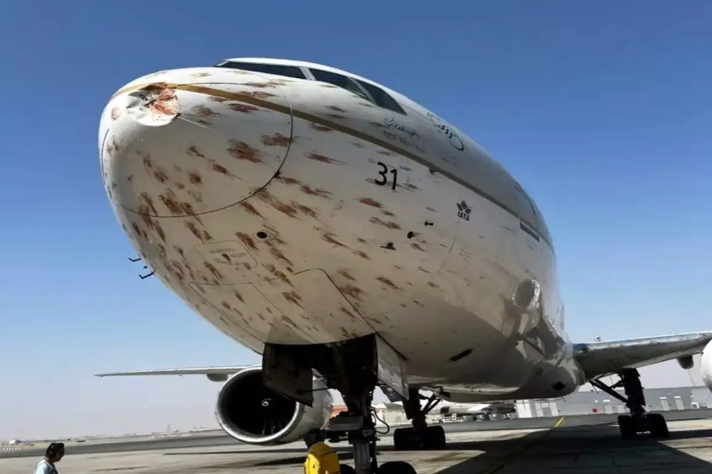 ویدیو | لحظه ترسناک برخورد پرنده‌ها با هواپیما؛ دماغه بویینگ غرق خون شد