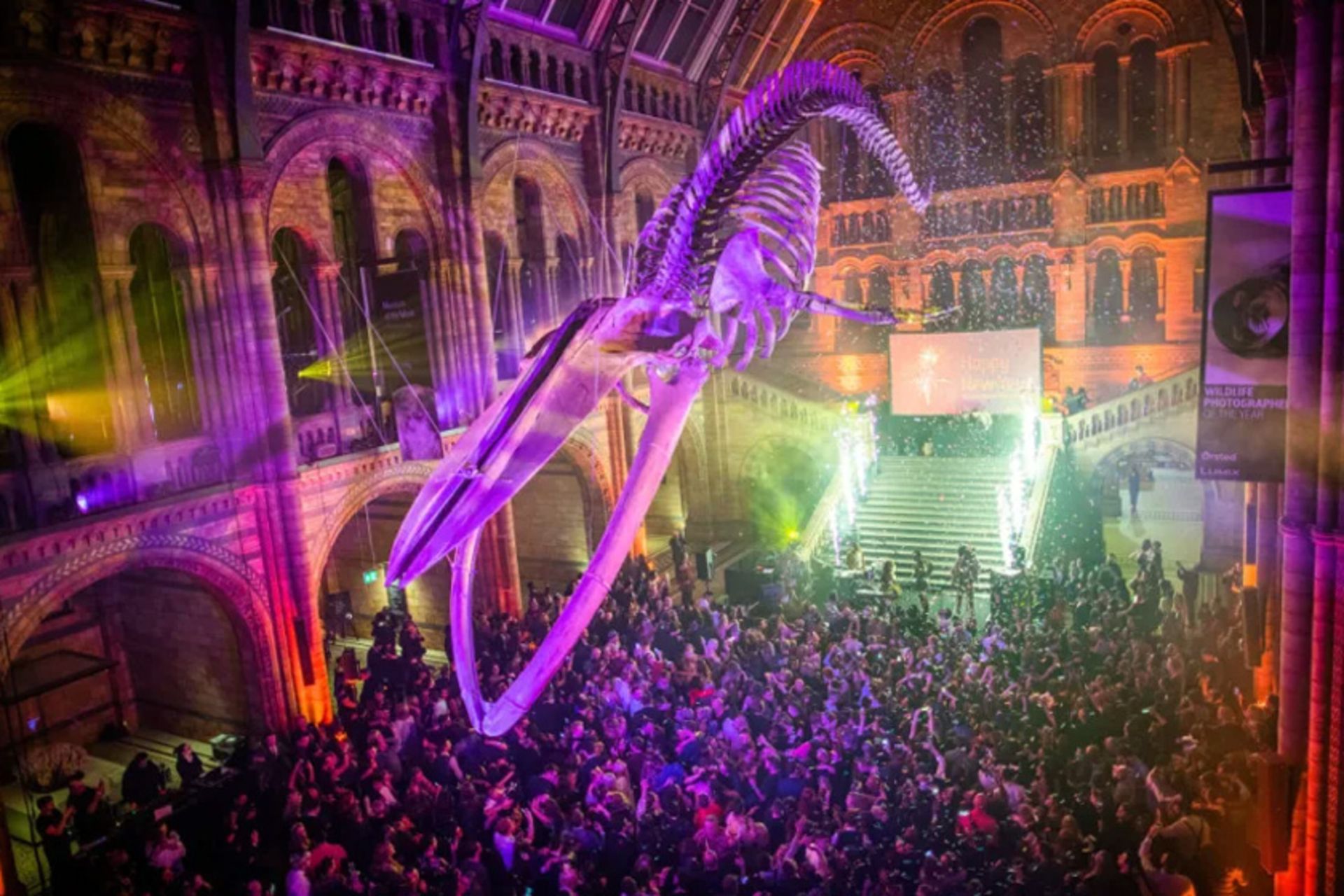 انقلاب شبانه در موزههای لندن؛ از یوگا با دایناسورها تا شام با شوالیه! 3 شب در موزه بریتانیا