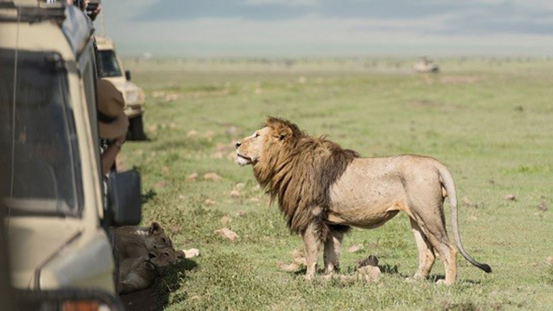 تور آفریقای جنوبی نوروز ۱۴۰۵؛ ماجراجویی از کیپتاون تا ژوهانسبورگ 4 تور آفریقای جنوبی