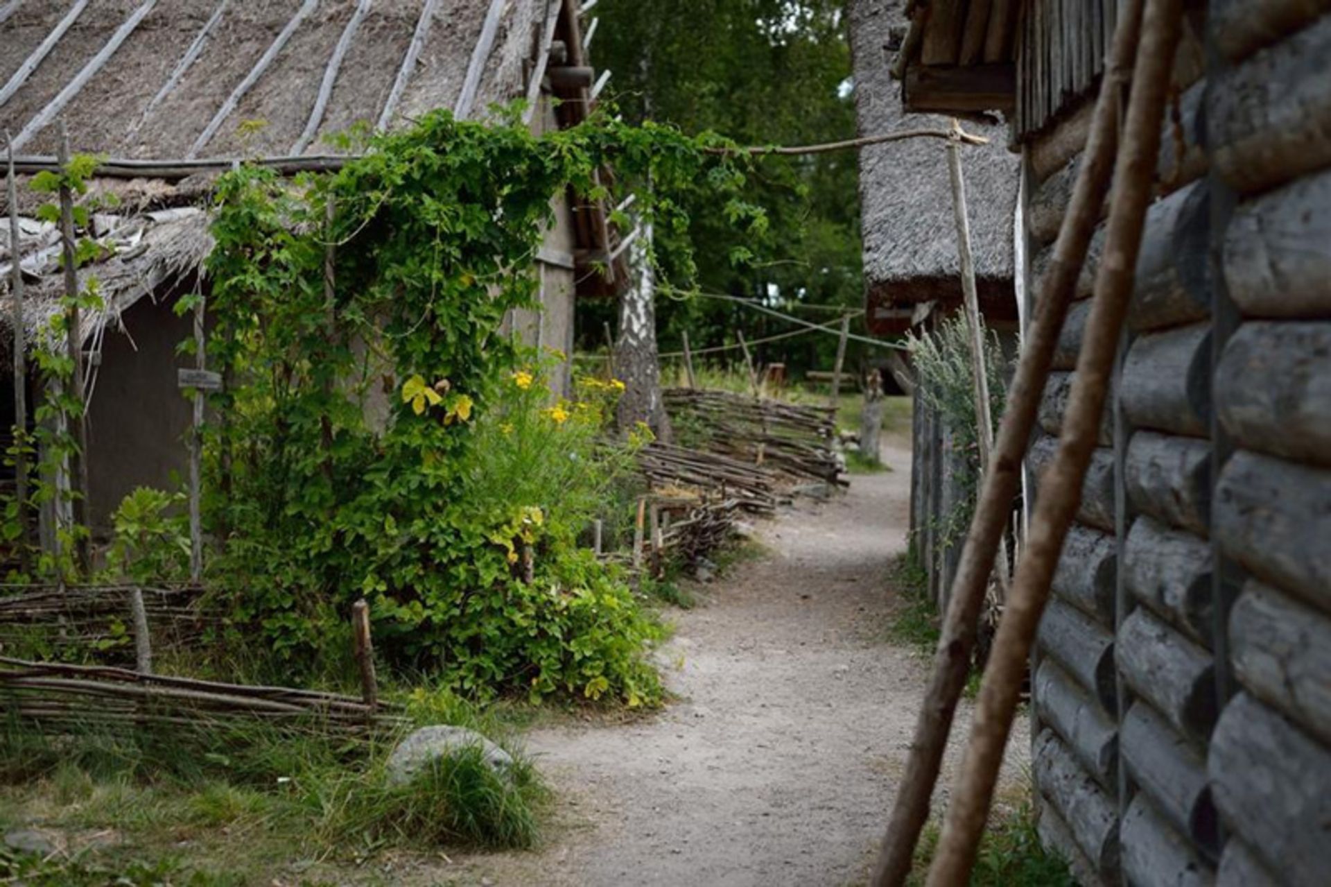 منسوجات بیرکا در دانمارک