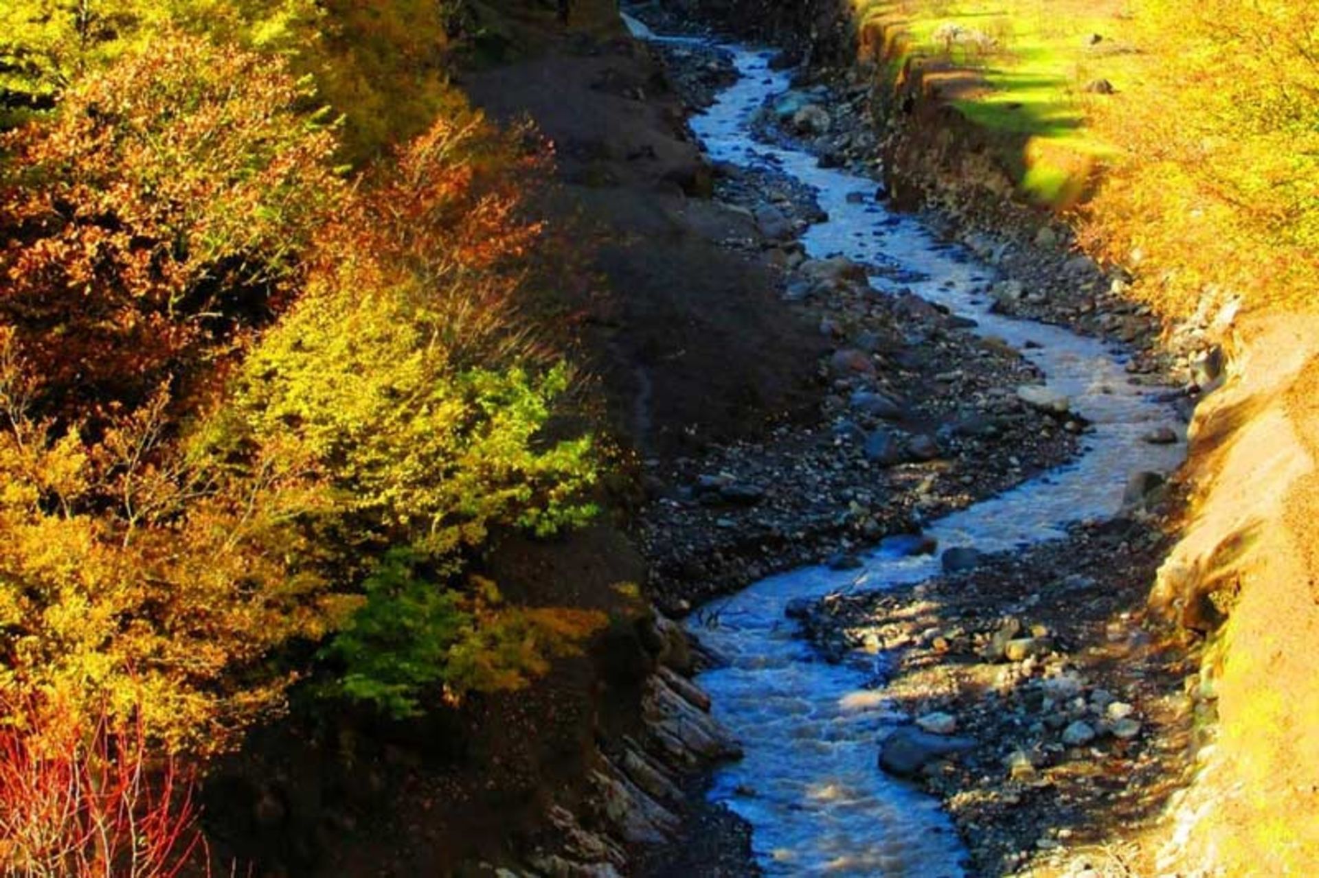 2021-5-48377355-2f13-4283-a2c6-e1640c39f519