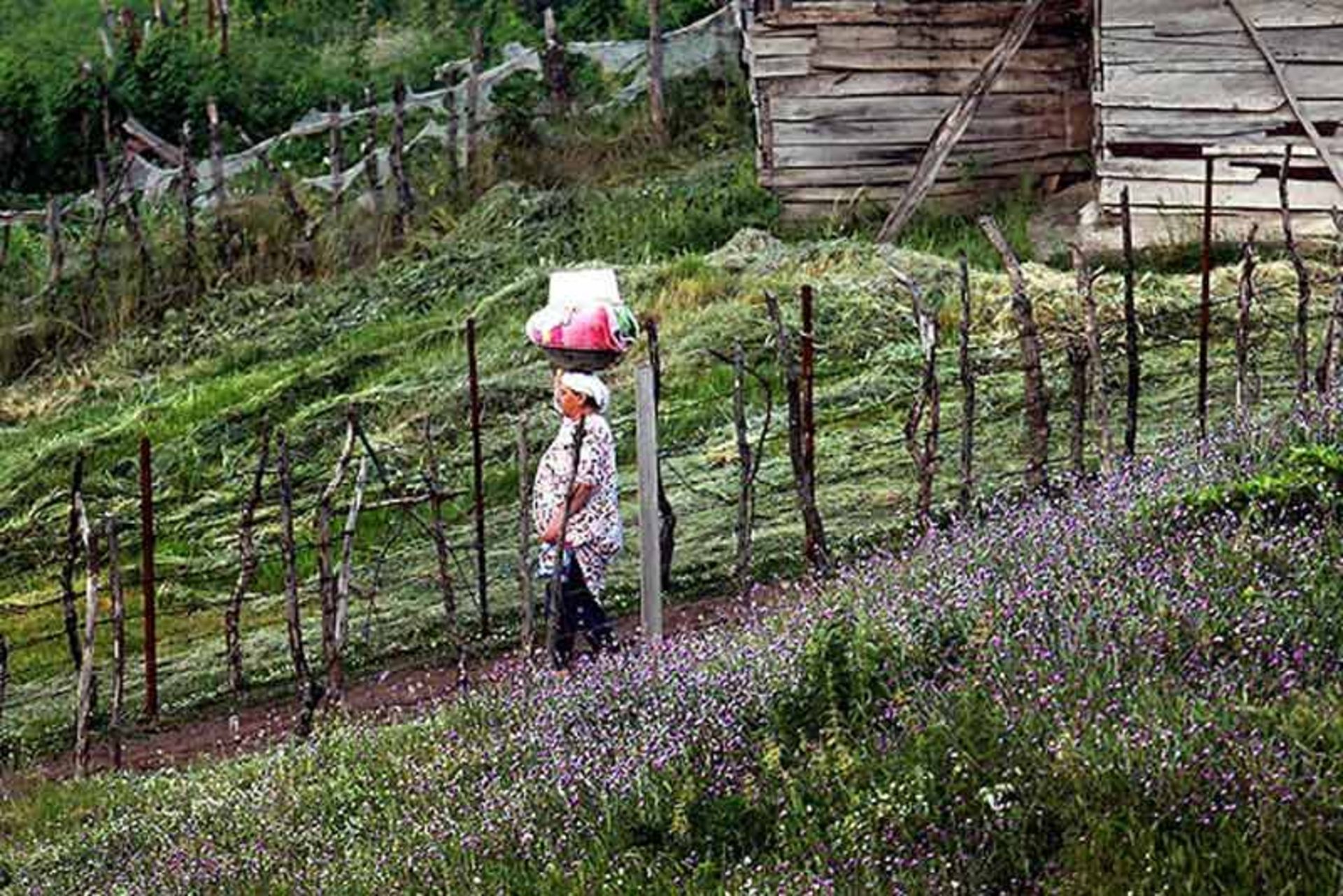 2021-5-7b1b3f98-05ad-4385-aecd-58d811825c48