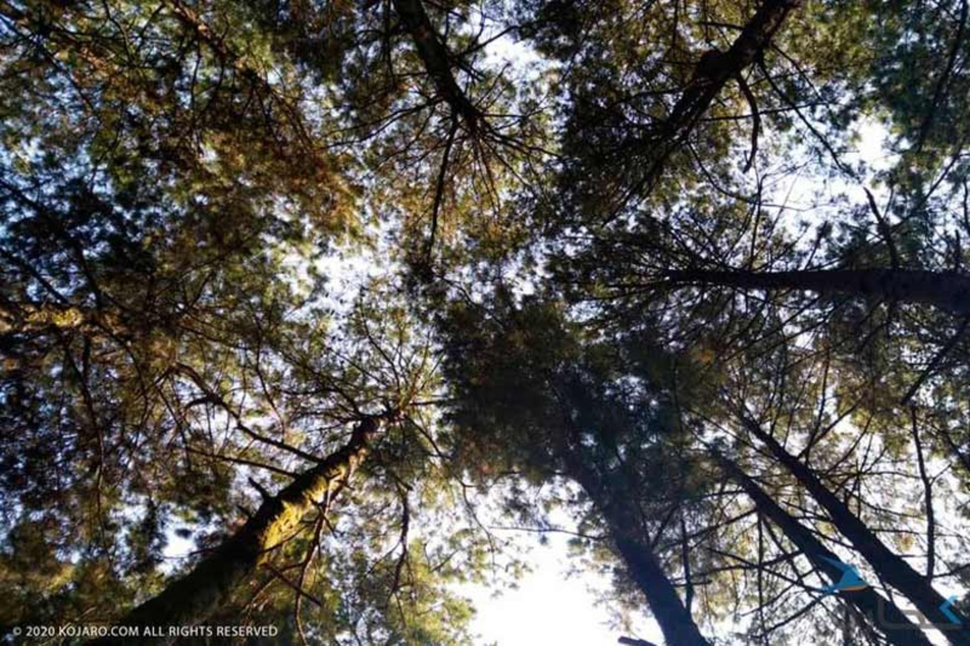 2021-5-99d57925-faf6-4339-b5e2-a231babeb64e