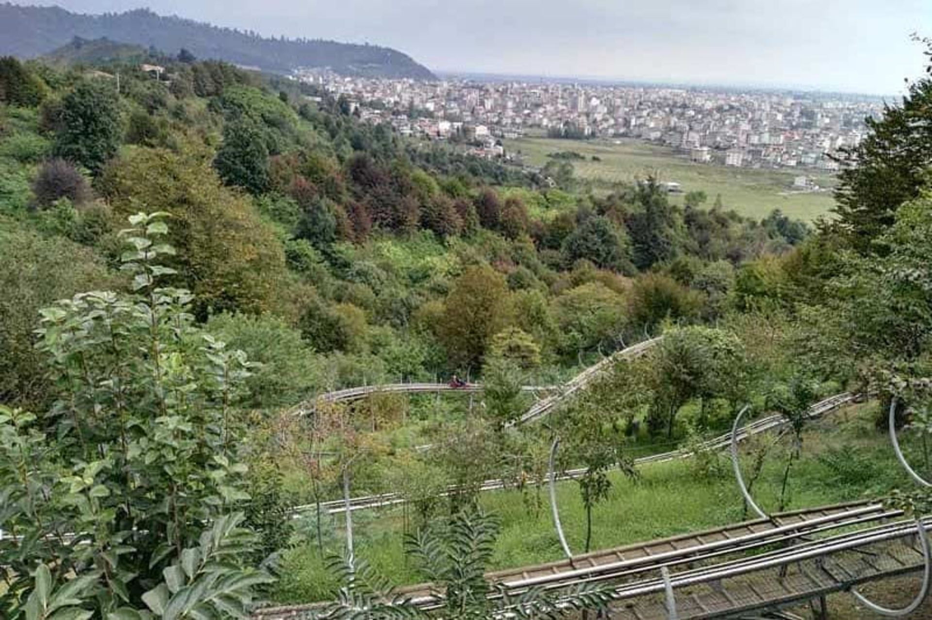 پارک جنگلی سیاه داران