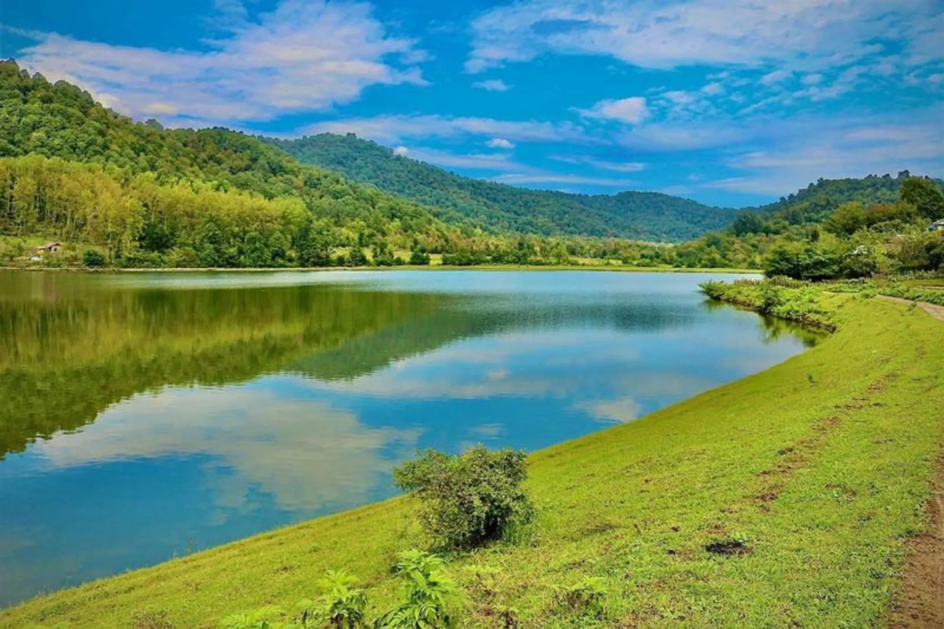 2021-5-ff8bde0c-e946-4e7b-a606-cb025afcf4b9