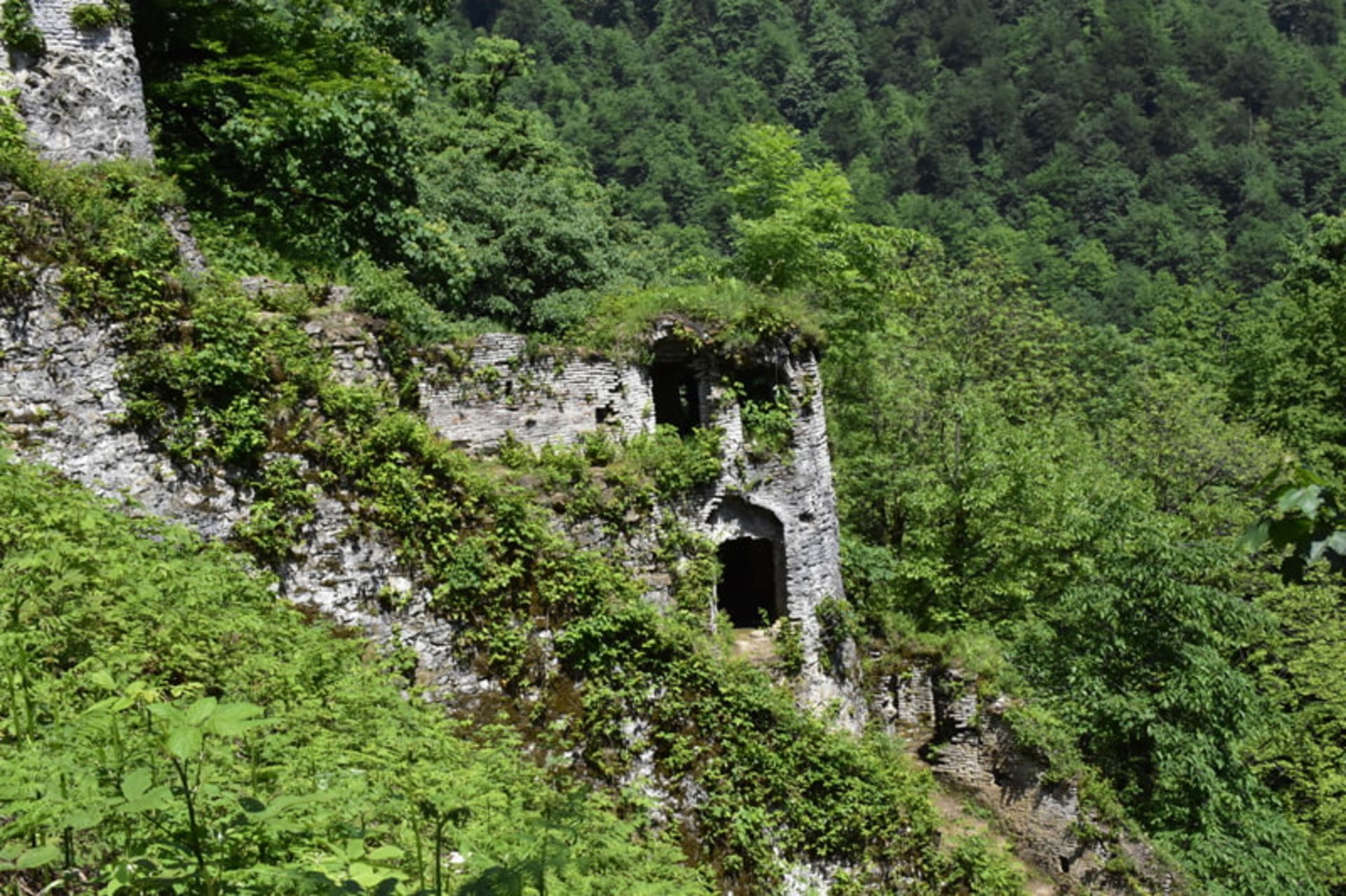 منظره سرسبز قلعه رودخان