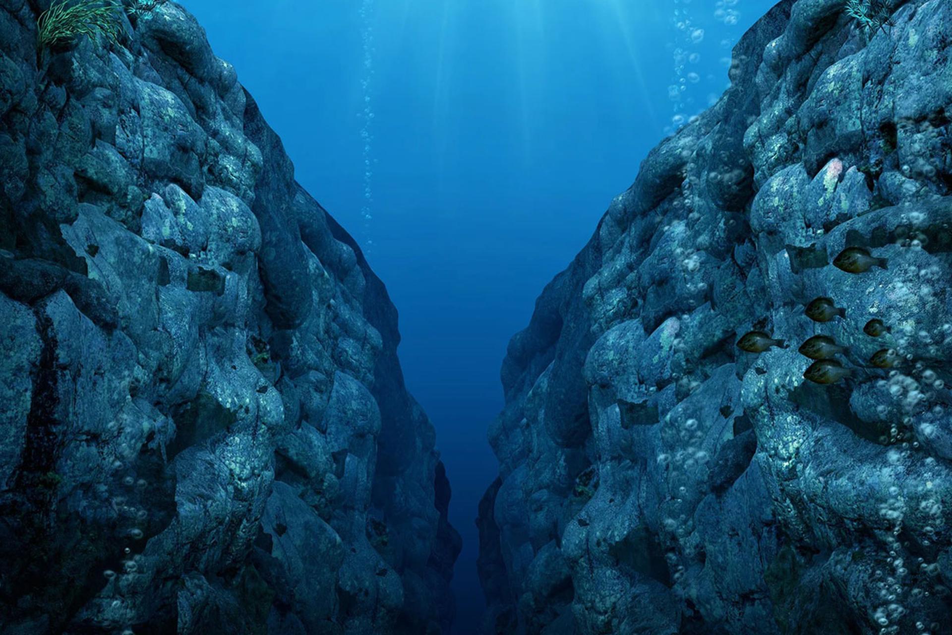 اعماق تاریک اقیانوس آرام