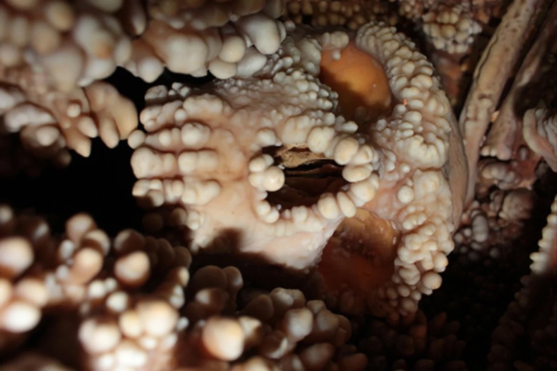 راز بینی نئاندرتالها فاش شد؛ پایان یک معمای پر بحث! 2