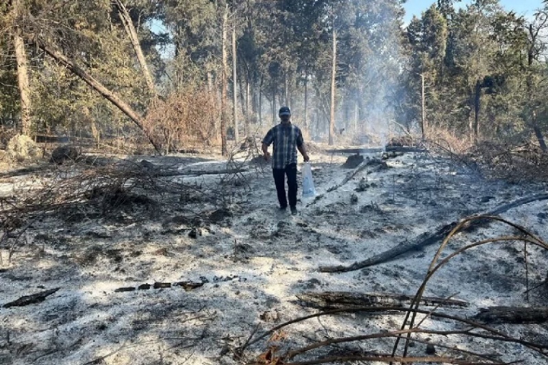 کنترل ۸۰ درصدی آتشسوزی در جنگلهای الیت 7