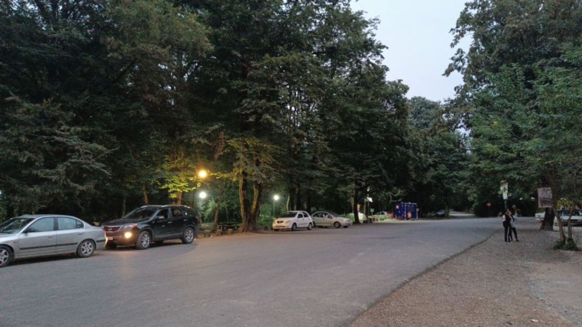 طبیعت سرسبز پارک جنگلی سیسنگان