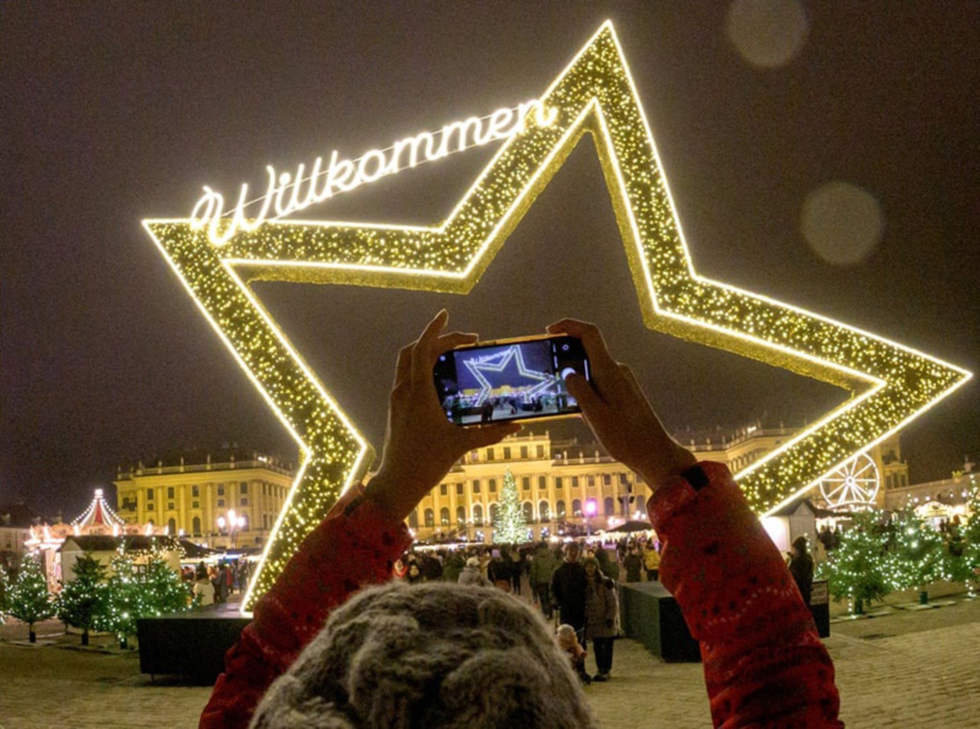 عکسهای مهمترین رویدادهای هفته؛ از طوفانهای ویرانگر تا جشنهای جهانی 14 قاببندی ورودی بازار کریسمس کاخ شونبرون وین توسط ستاره غولپیکر