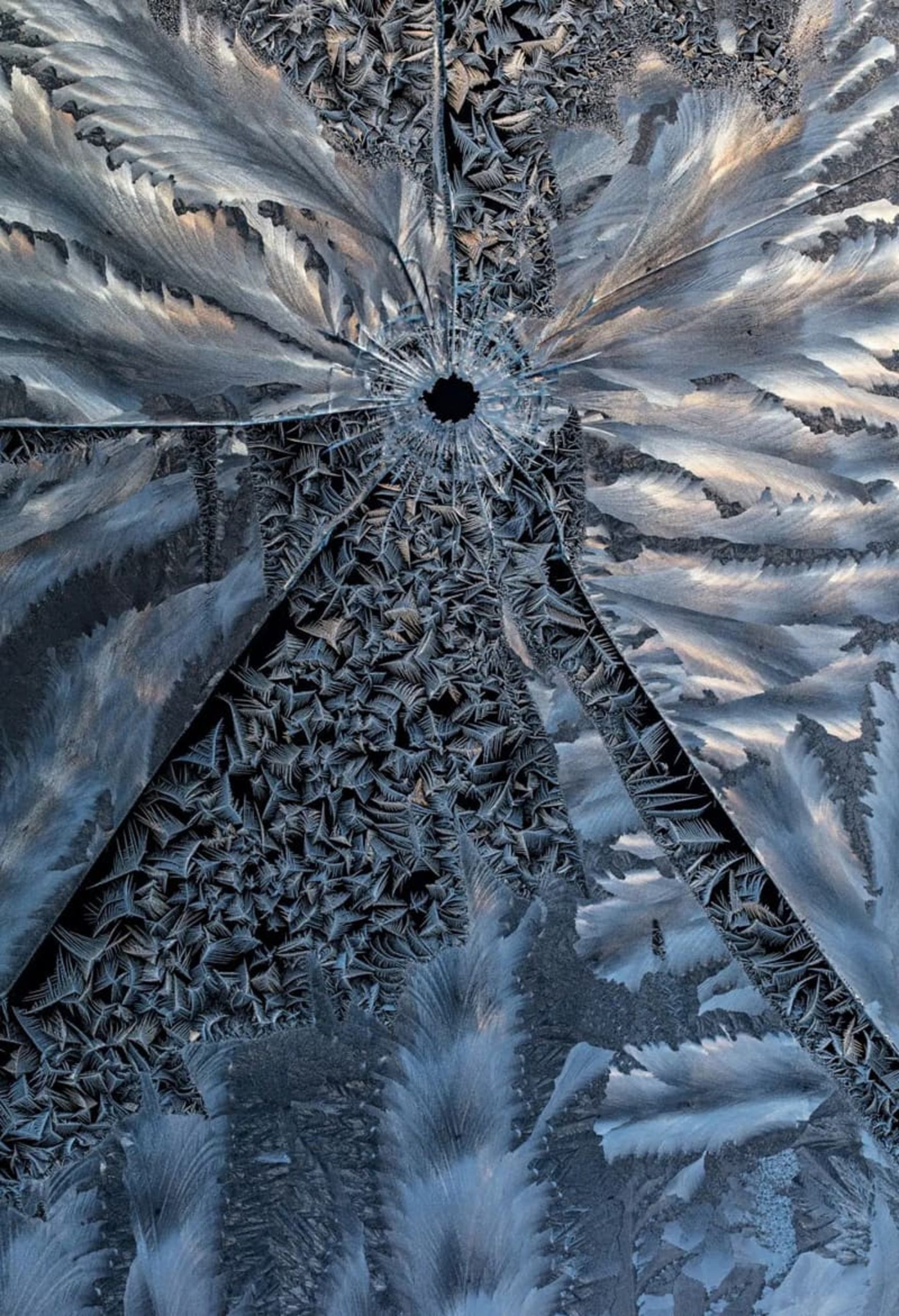 یخبندان روی شیشه‌های پنجره 