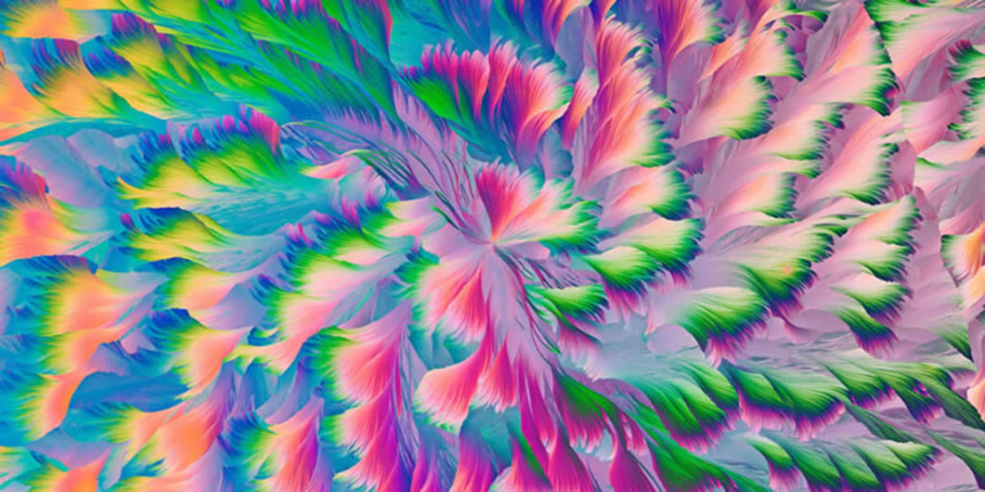 گل‌های متنوع رنگارنگ