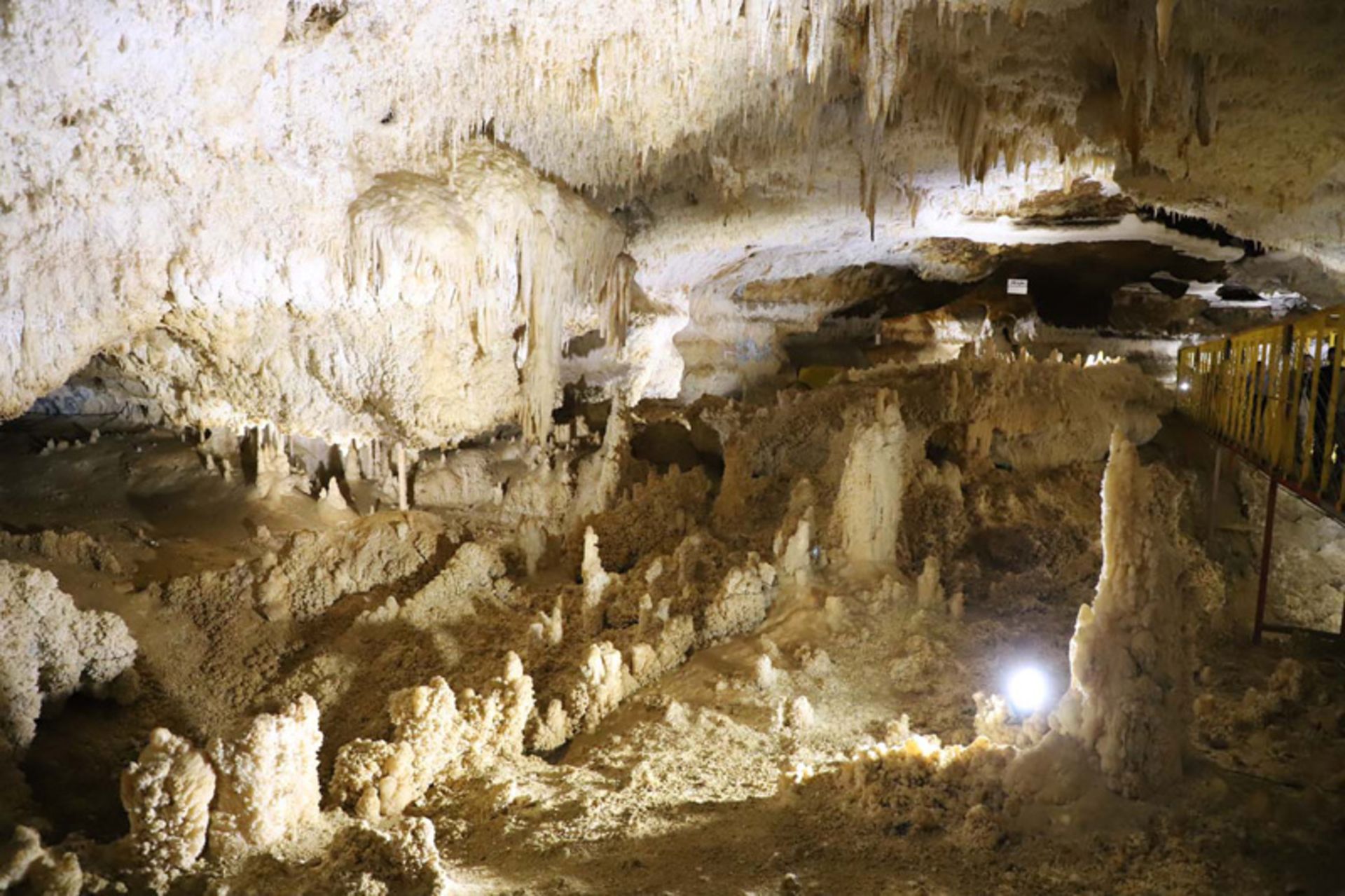 ستون های آهکی در سقف و دیواره های غار کتله خور