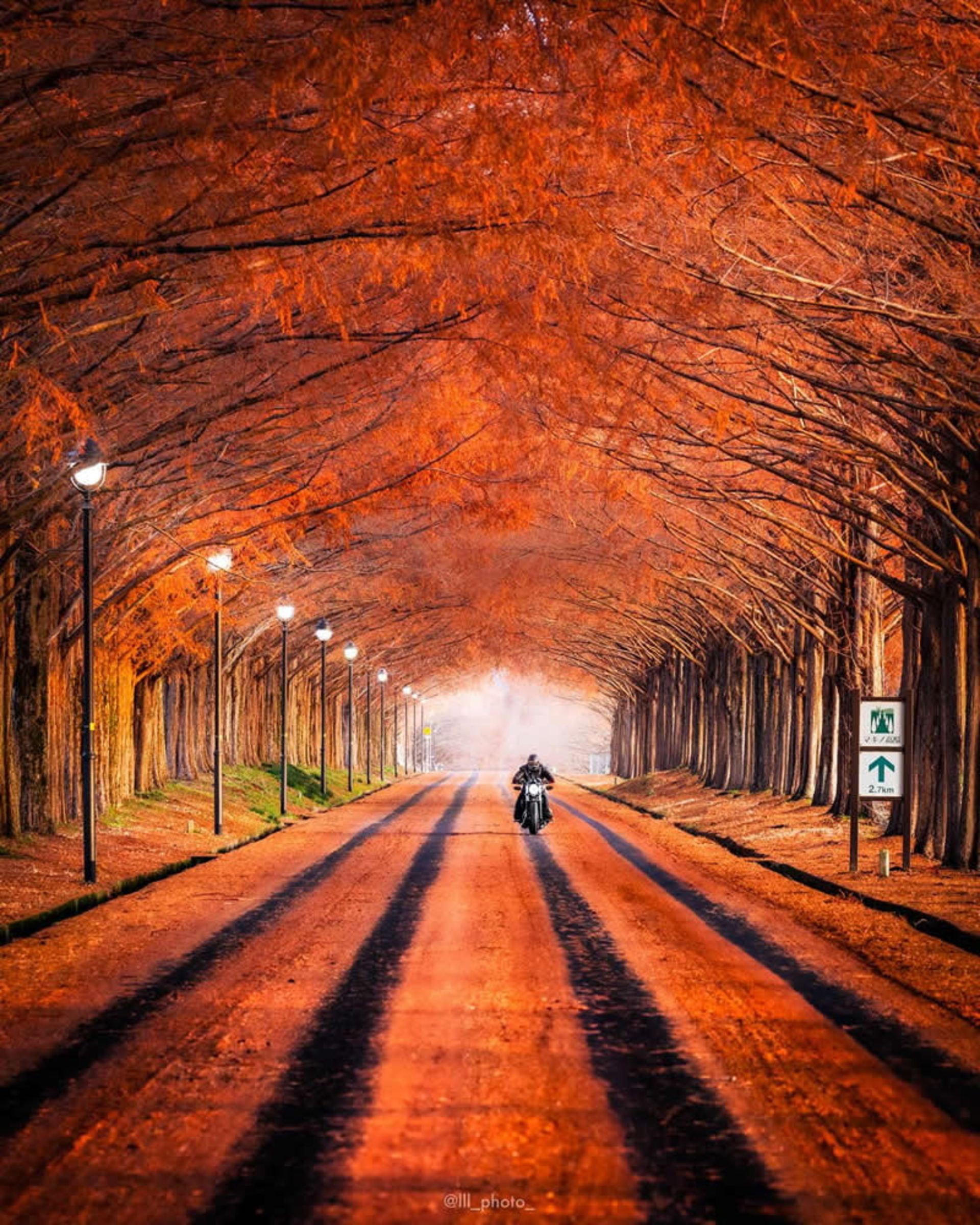 موتورسواری در جاده جنگلی پاییزی