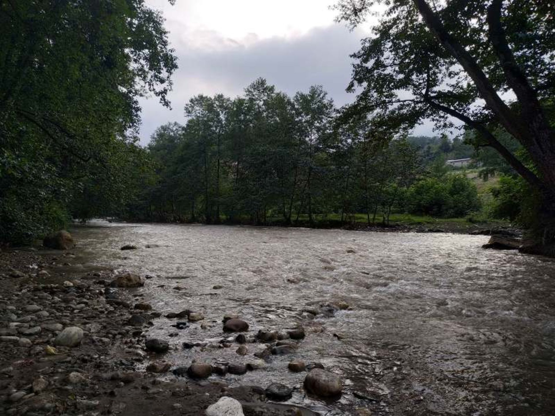 رودخانه و طبیعت سرسبز پارک جنگلی فین چالوس